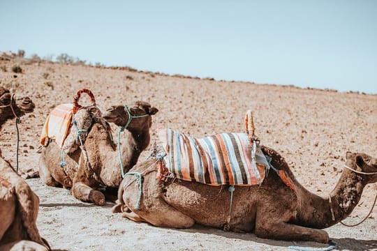 Excursion to Agafay Desert with Camel ride