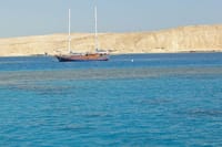 Tiran Island Full Day Snorkeling Sea trip, Lunch With Transfer - Sharm El Sheikh
