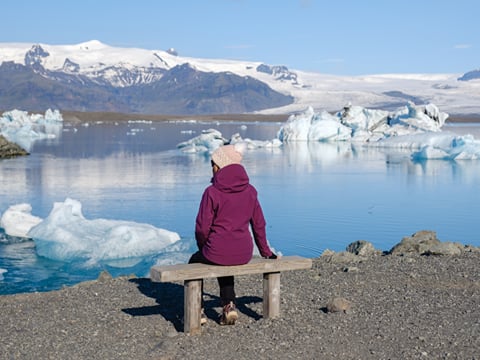 Diamond Beach, Jökulsárlón Glacier Lagoon & Boat Tour from Reykjavík, photo 16