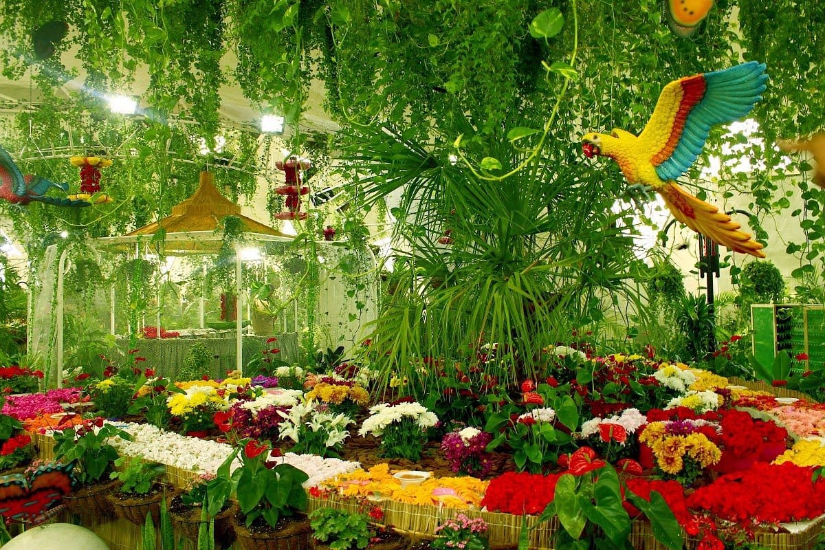 Dubai Butterfly Garden Tickets