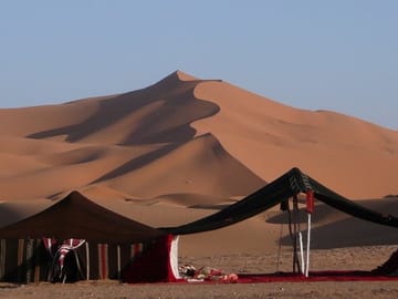 Full-Day Desert Adventure in Doha and Mesaieed, Qatar