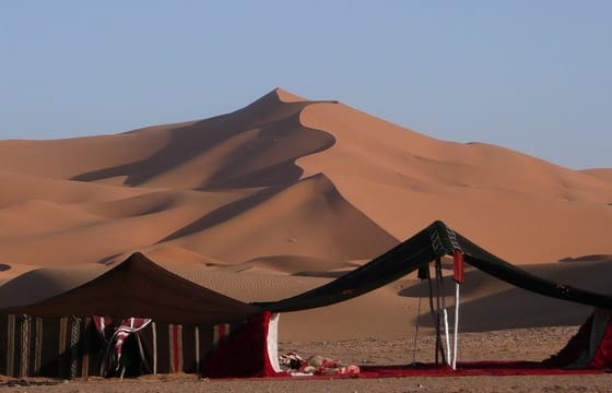 Full-Day Safari, Dune Bash, Camel Ride, Sandboarding & BBQ Meal