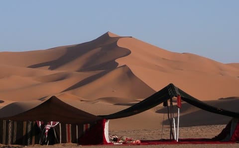 Full-Day Desert Adventure in Doha and Mesaieed, Qatar