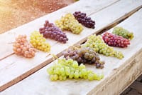 Cappadocia: Wine Tasting Experience 4