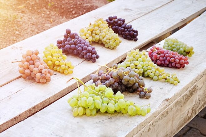 Cappadocia: Wine Tasting Experience 4