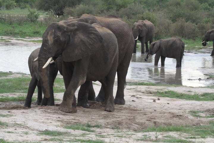 15 minutes scenic helicopter flight above Victoria Falls-Zimbabwe