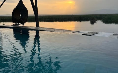 2-Day Awash National Park Safari & Doho from Addis Ababa