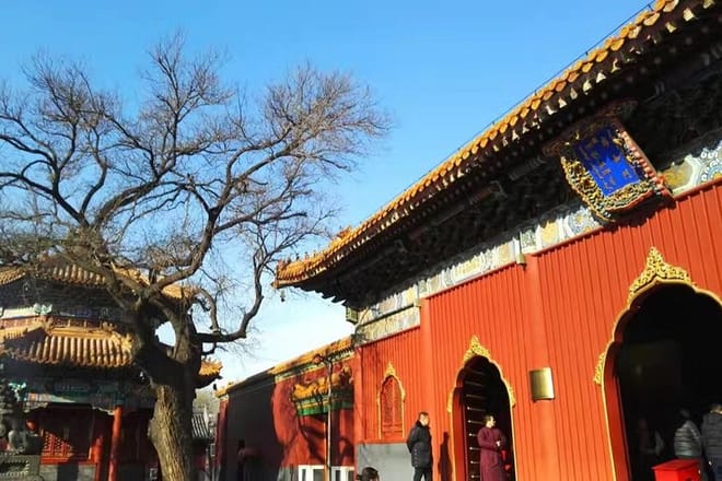 Private Beijing Day Tour: Lama Temple, Summer Palace and The Old Summer Palace 7