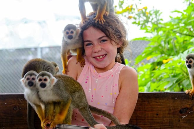 Puerto plata: Waterfalls Monkeys and beach tour Pick up included 10