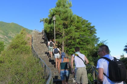 Vineyard Escapade and skywalk, a Wine Tour 4×4 Adventure