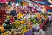 Full Day Private Guided Tour of Mysore 6