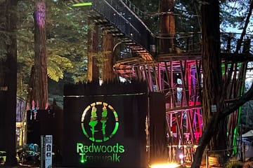 Day Tour to Mitai Maori Village and Redwood Forest from Auckland