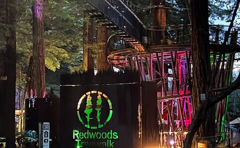 Day Tour to Mitai Maori Village and Redwood Forest from Auckland