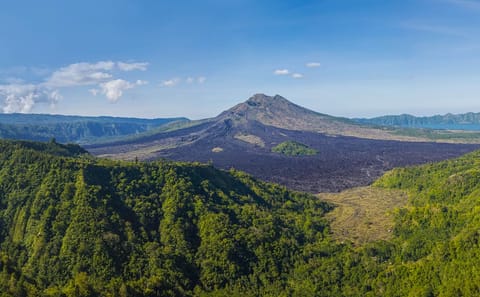 Best of Bali Traditional Village Sightseeng Tour include Lunch