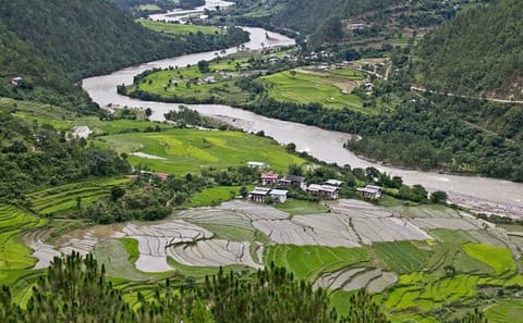 12-Day Bhutan Adventure with Gangtey Nature Trek