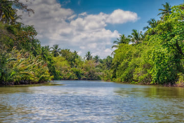 Maha Oya River Boat safari &  Hamilton Canal  in Negombo