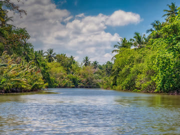 Maha Oya River Boat Safari and Hamilton Canal Tour in Negombo