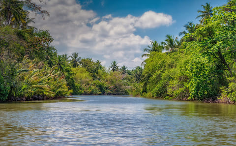Maha Oya River Boat Safari and Hamilton Canal Tour in Negombo