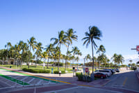 Miami : Bus & Boat Ultimate Sightseeing Combo Tour 8
