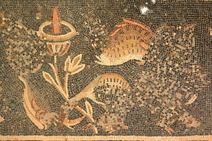 Private Full-Day Mosaic Tour with Workshop Experience from Dead Sea