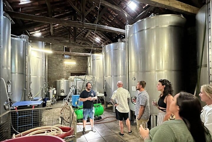 DOURO VALLEY: Premium Wine Tour, Lunch at Winery & Private Cruise