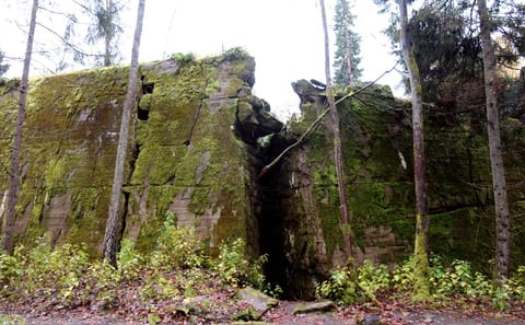 Day Trip from Warsaw to Explore Hitler's Wolf's Lair