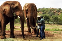 Elephant Interaction Experience 7