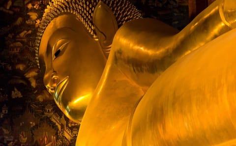 11-Day Cultural and Nature Tour of Bangkok and Ayutthaya