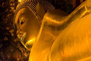 11-Day Cultural and Nature Tour of Bangkok and Ayutthaya