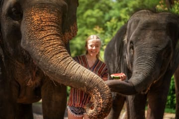 Half-Day Elephant Care Experience at Elephant Jungle Sanctuary Phuket