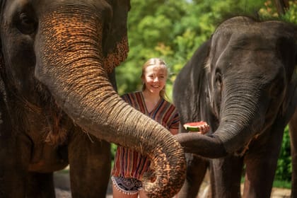 Phuket: Elephant Care Half Day Experience