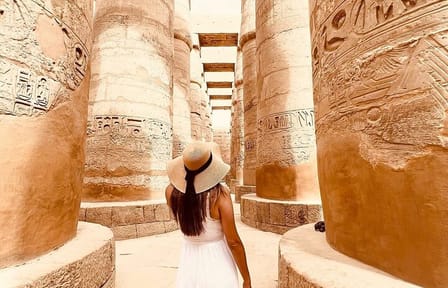 Private Full Day Luxor Highlights East and West Banks