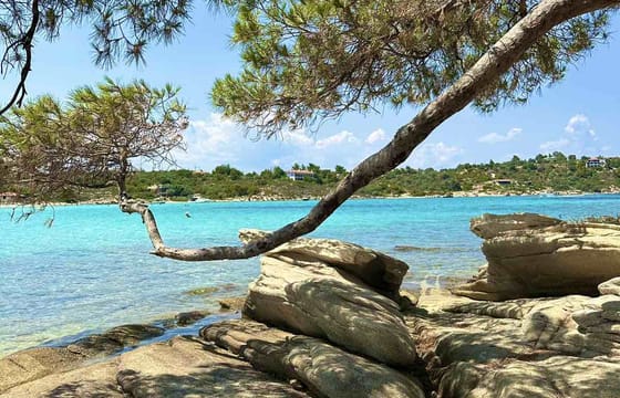 Thessaloniki: Neos Marmaras Day Trip with Beach Time