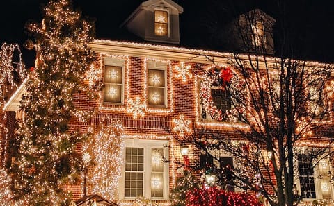 Explore New York City Contrasts and Dyker Heights Lights Tour
