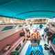 Phuket to Maya and Phi Phi Island withLunch Small Group Tour