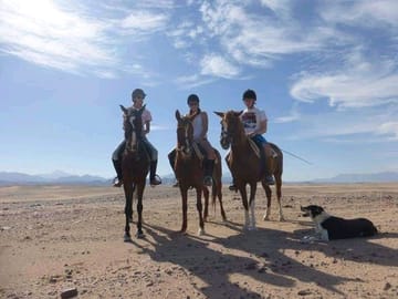 Horse Riding (Desert and the Beach) in Hurghada
