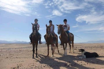 Horseback Riding Tour in the Desert and Beach of Hurghada