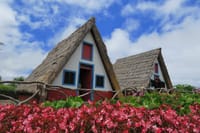 Full-Day Small Group Jeep Safari Tour from Funchal 10