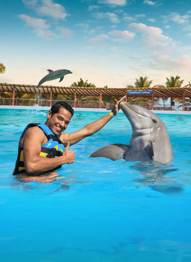 Playa del Carmen Maroma - Dolphin Royal Connection 2