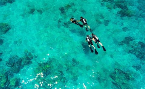 Racha and Coral Island Full-Day Boat Tour from Phuket