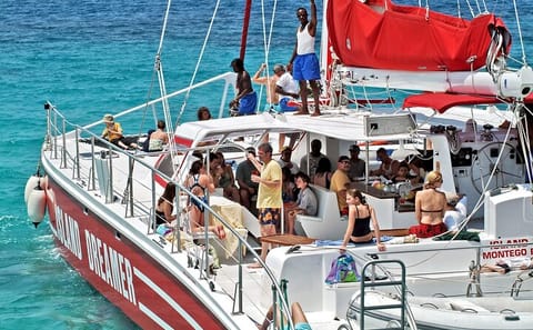 Private Catamaran and Dunn's River Falls Tour in Ocho Rios