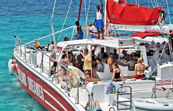 Half-Day Private Catamaran And Dunn’s River Falls Tour in Ocho