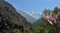 Real Morocco – Upscale & VIP | 1 Day: Private & Luxury 3
