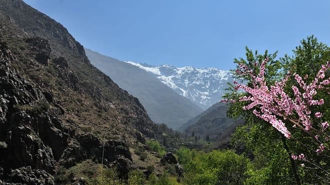 Real Morocco – Upscale & VIP | 1 Day: Private & Luxury 3