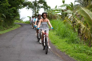 Ubud Rice Field and Village Cycling Tour in Indonesia