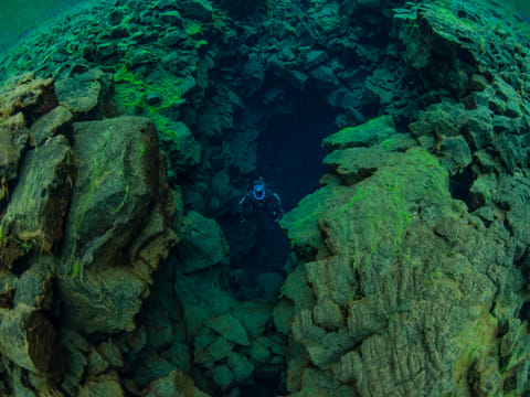 Private Silfra Freedive tour, photo 2