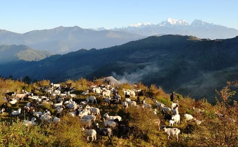 Hiking and ATV Tour to Pattale Danda with Everest Views