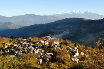Hiking and ATV Tour to Pattale Danda with Everest Views