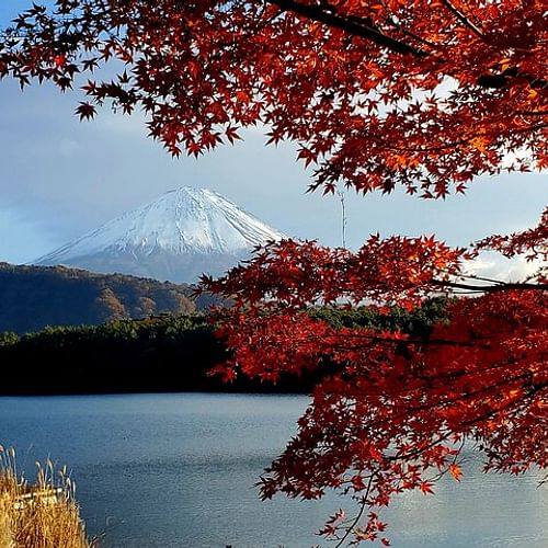 Full Day Mount Fuji Private Tour with English Speaking Guide