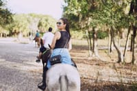 Visit to a local Ranch Plantation with Monkeys Horseback & Buggy 8